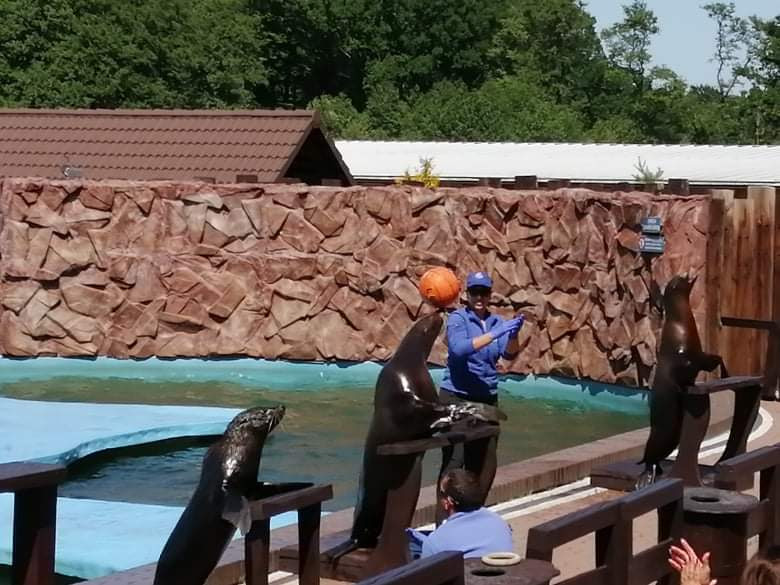 Wycieczka klas 2b, 3a i 3b do Sea Park w Sarbsku