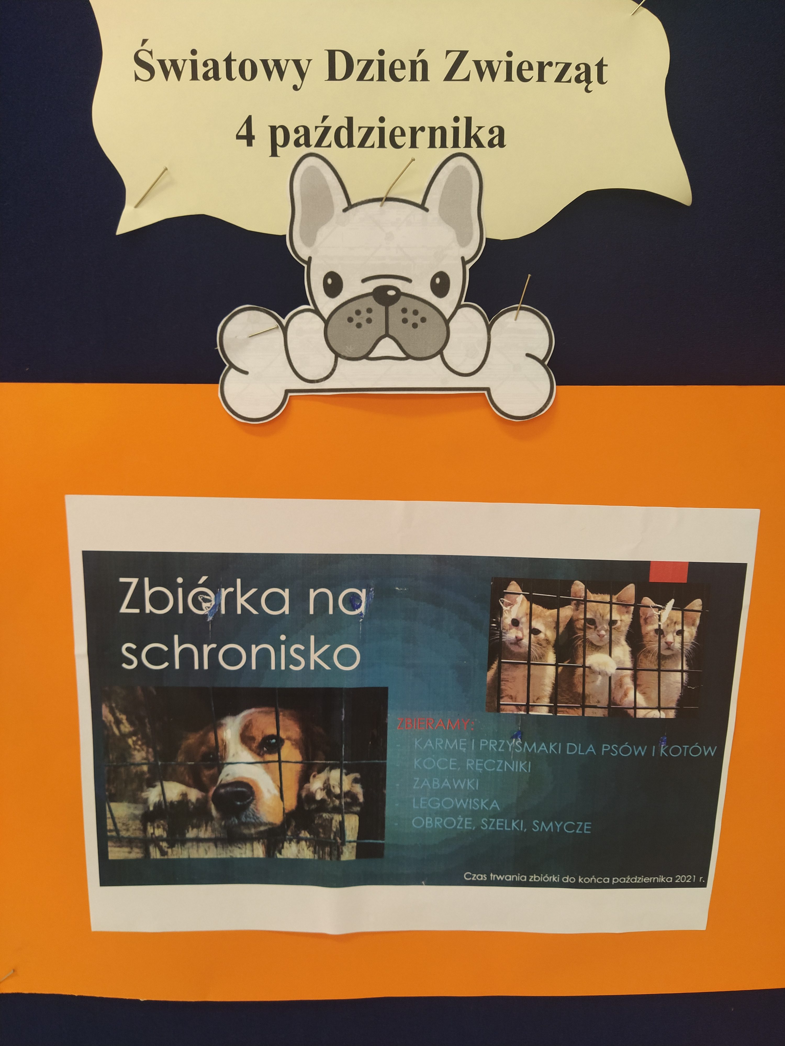 Puszka dla Sierściuszka