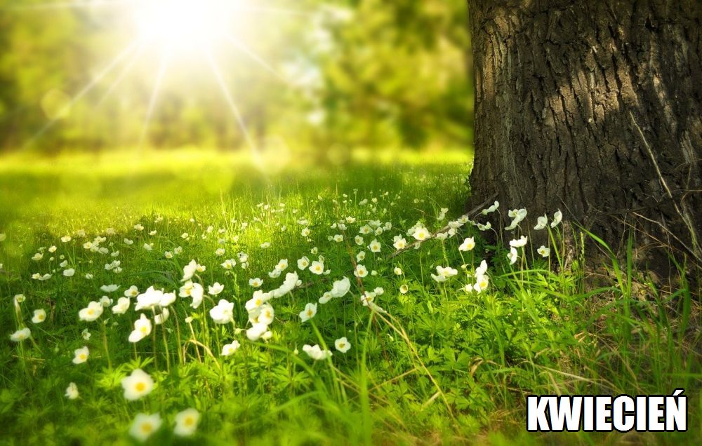 Kwiecień w Świetlicy
