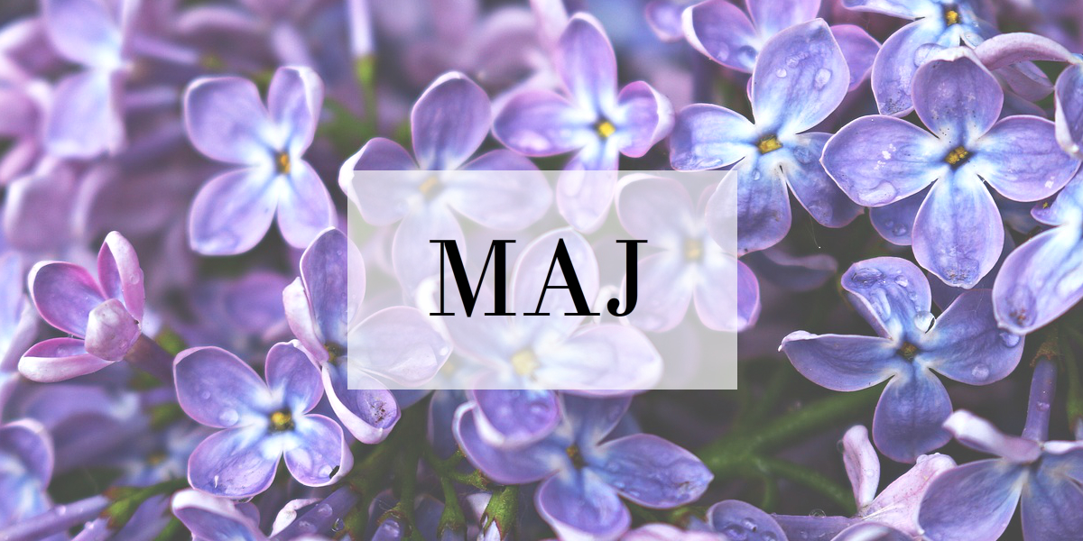 Prace Świetlicy – maj