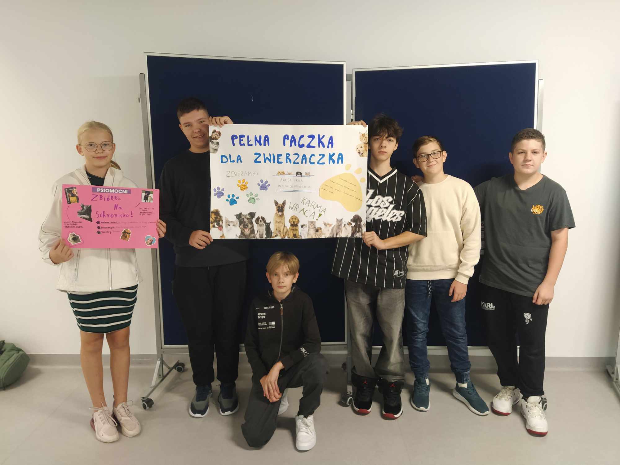 Zbiórka dla Ciapkowa – Schroniska dla bezdomnych zwierząt