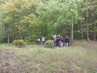 Krokusy klasy 8 B