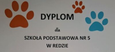 Przekazanie darów do Schroniska Ciapkowo w Gdyni
