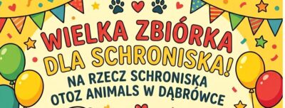 Zbiórka na rzecz Schroniska OTOZ Animals w Dąbrówce!