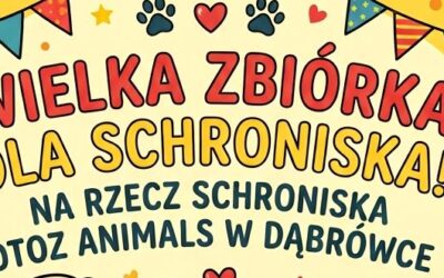 Zbiórka na rzecz Schroniska OTOZ Animals w Dąbrówce!